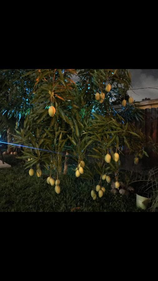 Paradise Oasis1 Golden Glades Exterior foto
